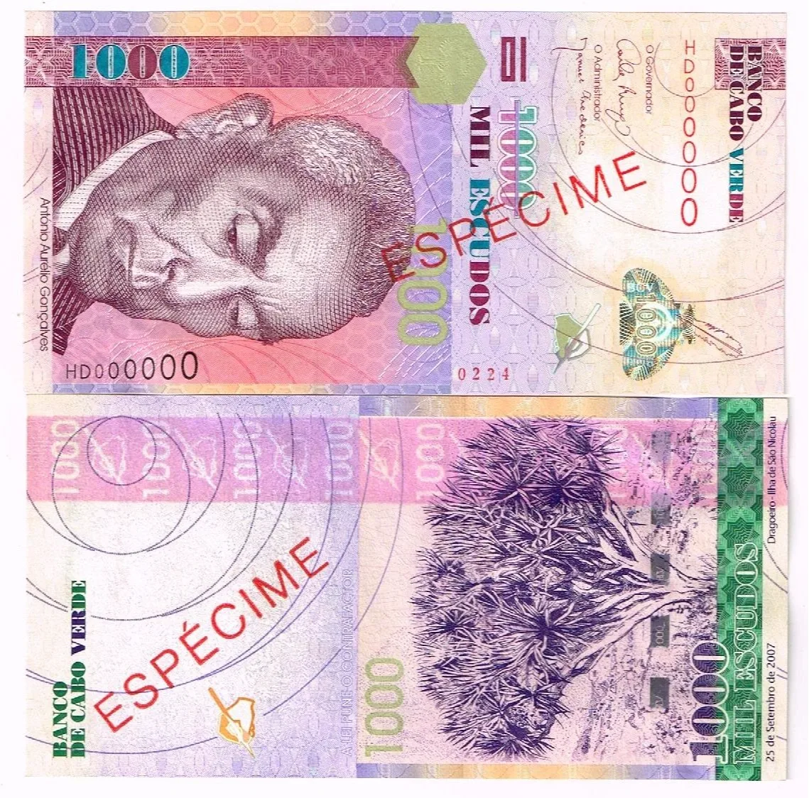 Zielony Przylądek 1000 escudo 2007 P-70 UNC SPECIMEN
